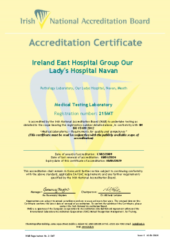 Ireland East Hospital Group, Our Lady's Hospital Navan - 215MT Cert  summary image